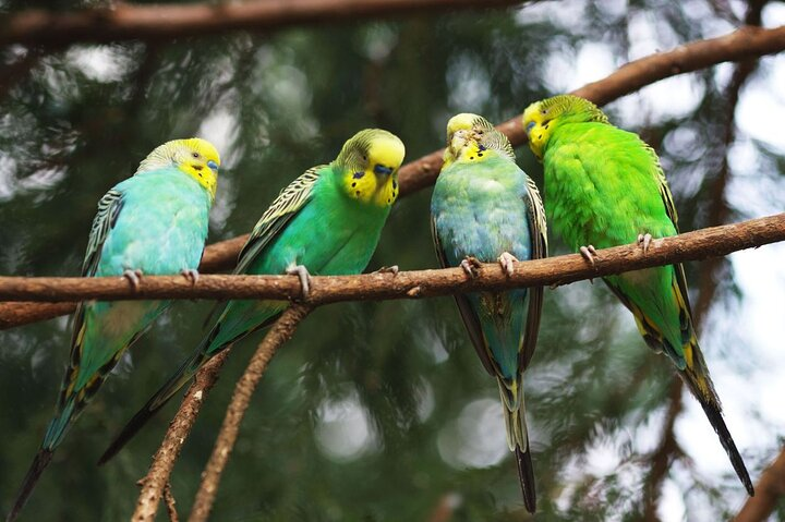 4 Day Tambopata Jungle Tour with Local Guide - Photo 1 of 14