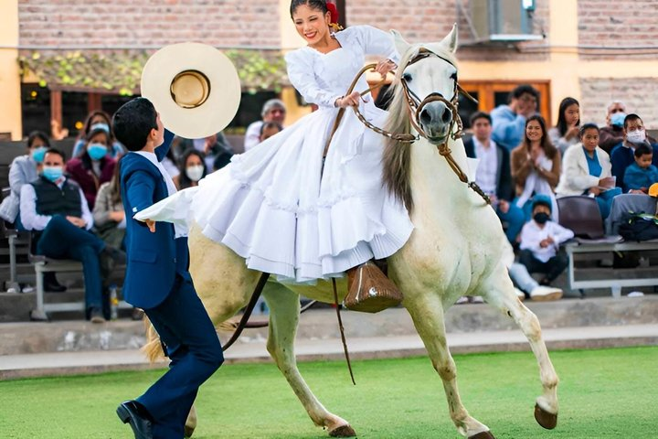 Lunch Show - Exhibition of Peruvian Horse with Pick up & drop off - Photo 1 of 9