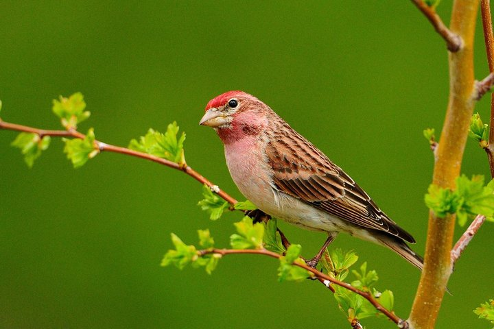 Manu Jungle Tour in 4 Days from Cusco - Photo 1 of 25