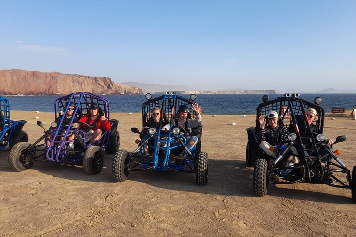 Paracas : Mini Buggy Tour in the National Reserve - Photo 1 of 5