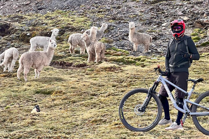Mountain Biking Enduro MTB Sacred Valley Lares in Cusco Pelago