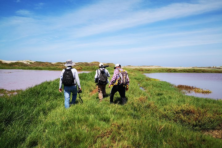 In forest, wetlands, beach and nature reserves, our routes are designed to observe nature with good implements and professionals.