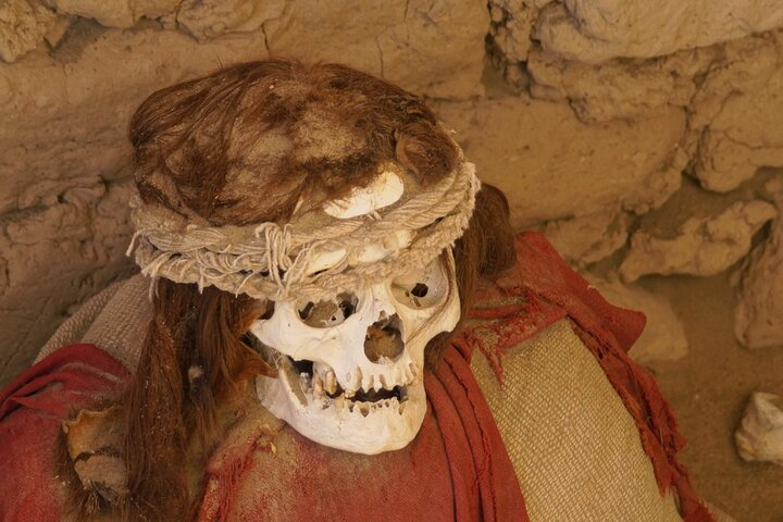 Nazca Lines flight and Chauchilla Cemetery  - Photo 1 of 5