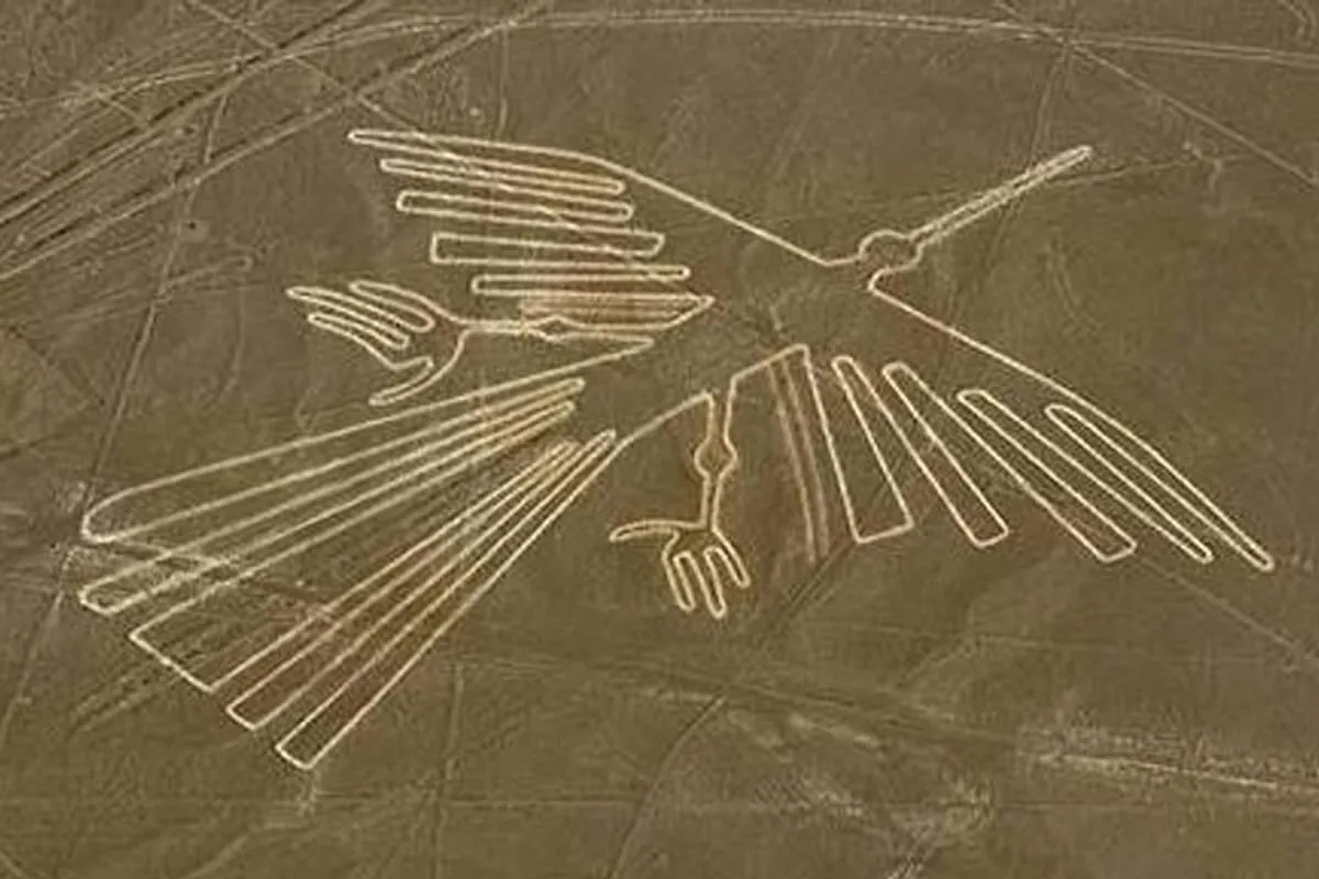 ナスカ の Nazca Lines Overflight from Nazca | Pelago