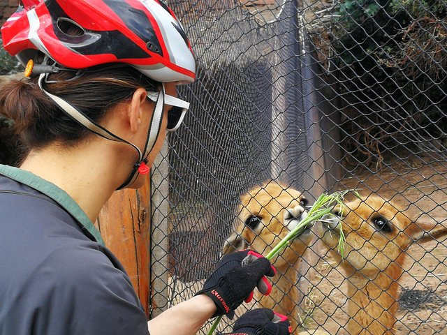 Panoramic Ride of Cusco - Photo 1 of 22