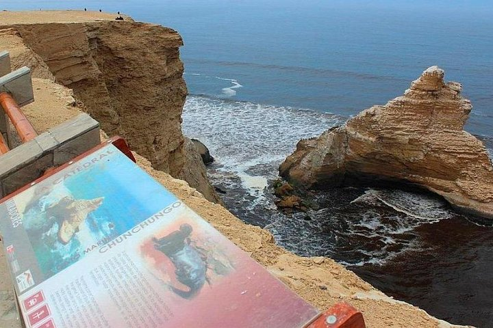 Paracas National Reserve Half Day Tour - Photo 1 of 10