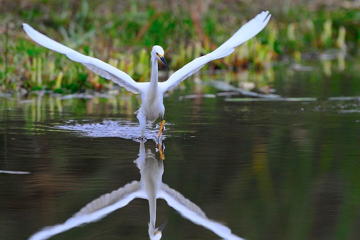 Private and exclusive Nature and Trek in Chorrillos - Photo 1 of 12