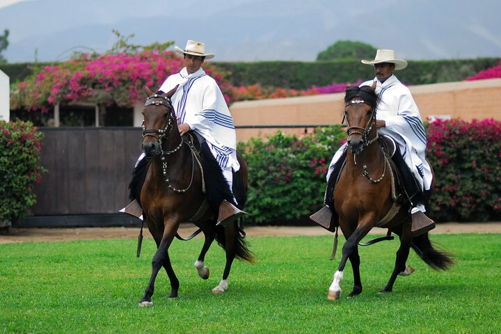 Private Experience Pachacamac, Peruvian Paso Horse Show & Artisan Store Full-Day - Photo 1 of 12