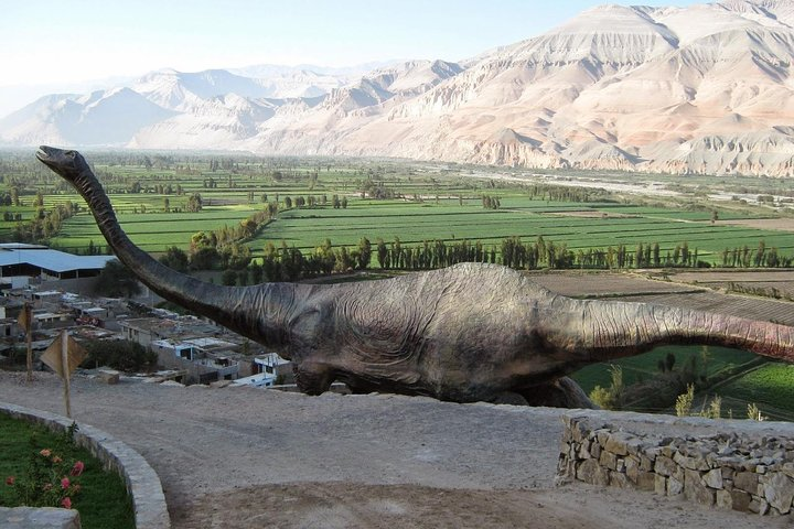 Private Full Day: Majes, Toro Muerto and Dinosaur Footprints. From Arequipa - Photo 1 of 11