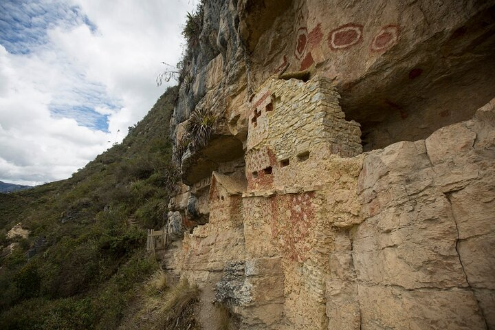 Half-Day Wine & Olive Oil Experience in Mendoza - Photo 1 of 13