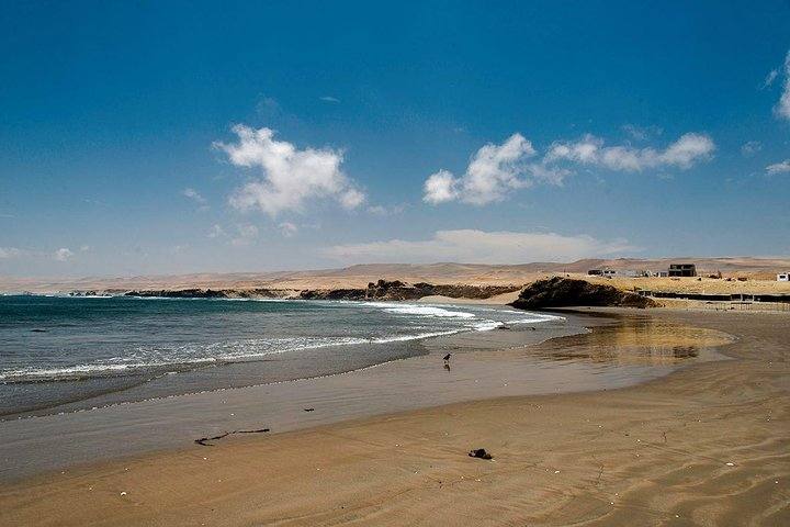 Private Tour To Learn The Beauty Of The Pacific Ocean From Nazca - Photo 1 of 7