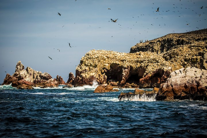 Private Tour to Paracas National Reserve - Photo 1 of 8