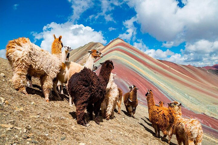 Rainbow Mountain in One Day from Cusco 2023 (Private Service) - Photo 1 of 4