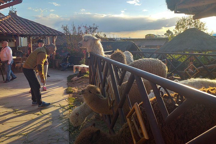 Sacsayhuayman & Pisac Day Tour - Photo 1 of 8