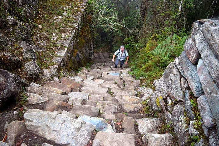 Inca steps