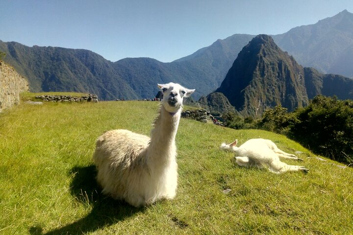 Short Inca Trail Hike, Sacred Valley, with Rainbow Mountain - Photo 1 of 25