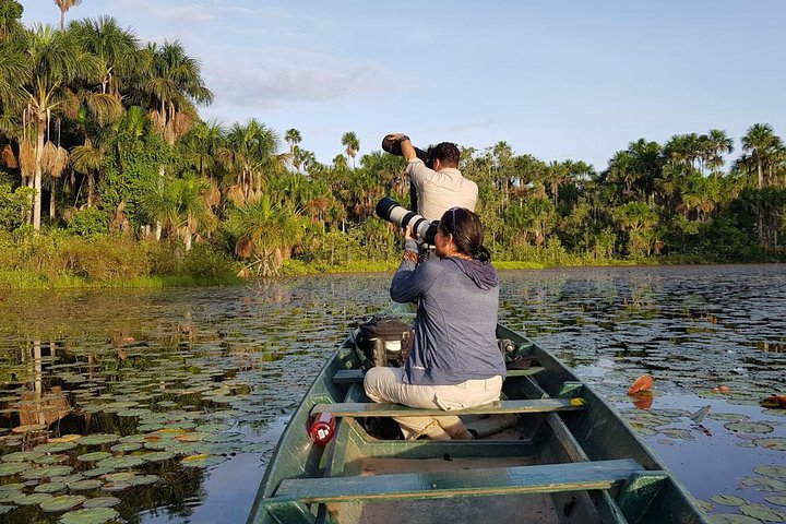 Best of Tambopata 2 nights by JunglePro  - Photo 1 of 20