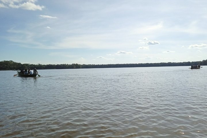 4 Day Tambopata Amazon Wildlife & Canopy Experience - Photo 1 of 17