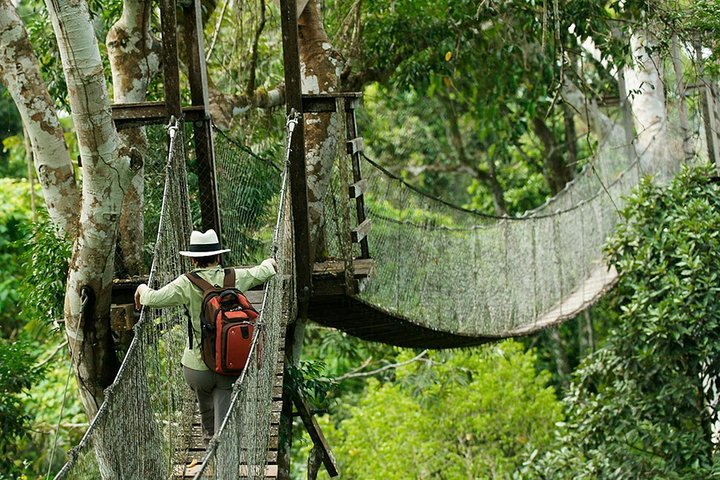 Tambopata (Puerto Maldonado) 5 Days - Photo 1 of 10