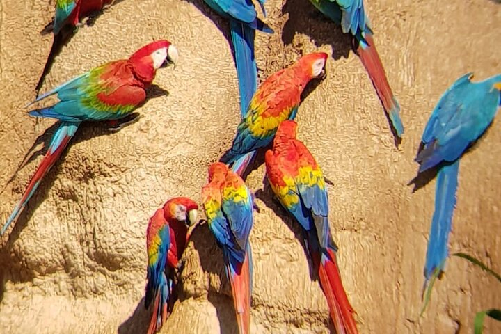 Tambopta National Reserve 5 days tour - Photo 1 of 19