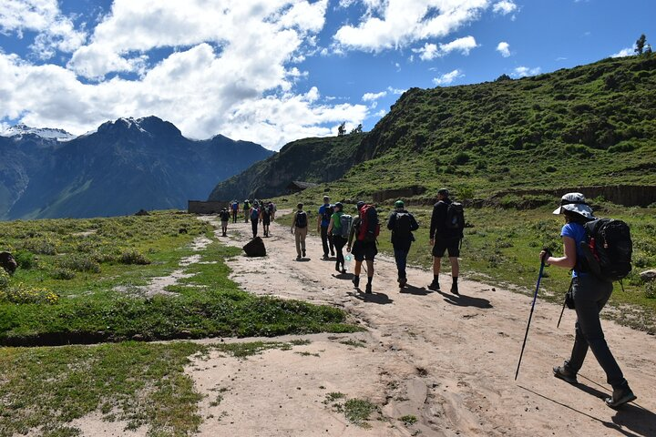 Tour 2 Days Colca Canyon Adventure Trekking - Photo 1 of 8