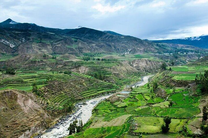 TOUR COLCA CANYON (FULL DAY)