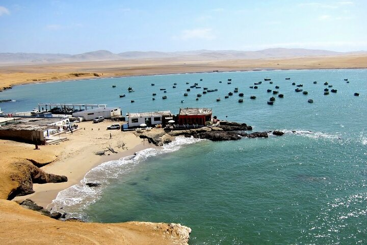 Tour to the Paracas National Reserve for Cruise Travelers - Photo 1 of 5