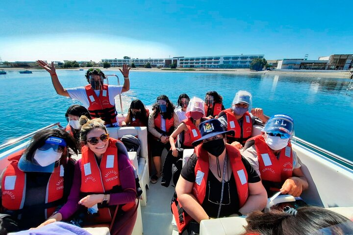 Paracas, Ballestas Islands and Huacachina Guided Tour - Photo 1 of 25