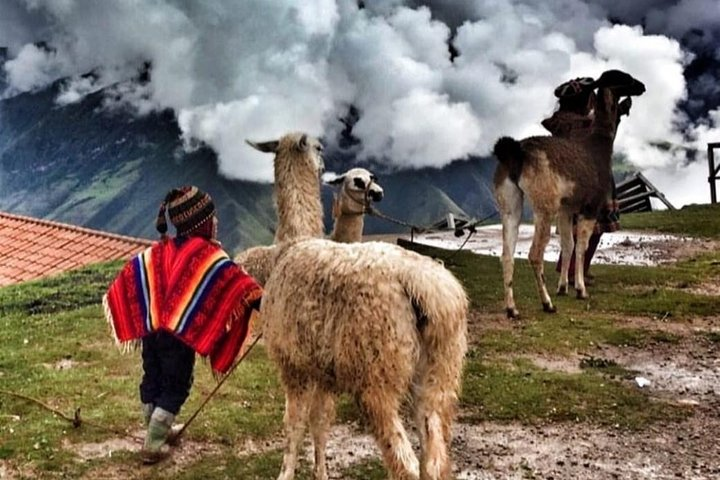 Private Cusco Walking City Tour - Photo 1 of 4