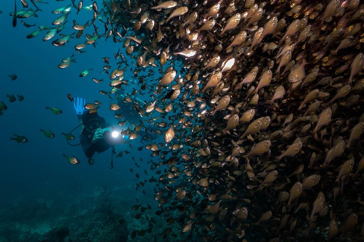 2 Days SSI Advanced Open Water Course in Boracay - Photo 1 of 10