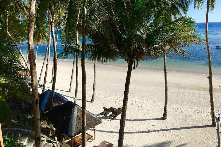 Anda Beach Tour from Panglao - Photo 1 of 6
