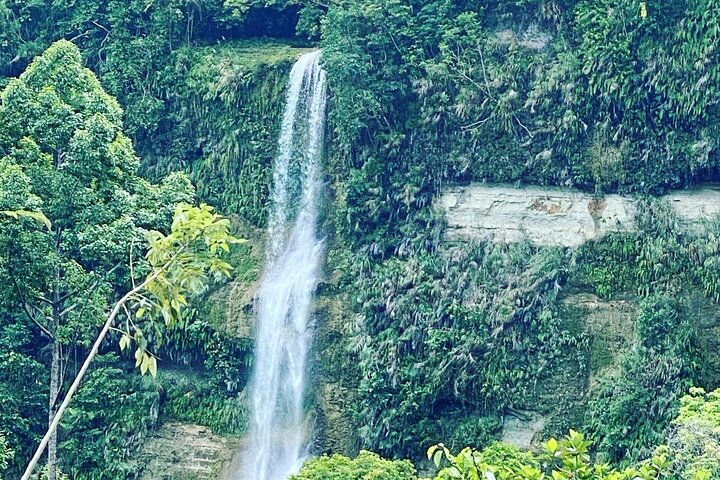 Can-umantad Falls and candijay rice terraces Eco Tour - Photo 1 of 5