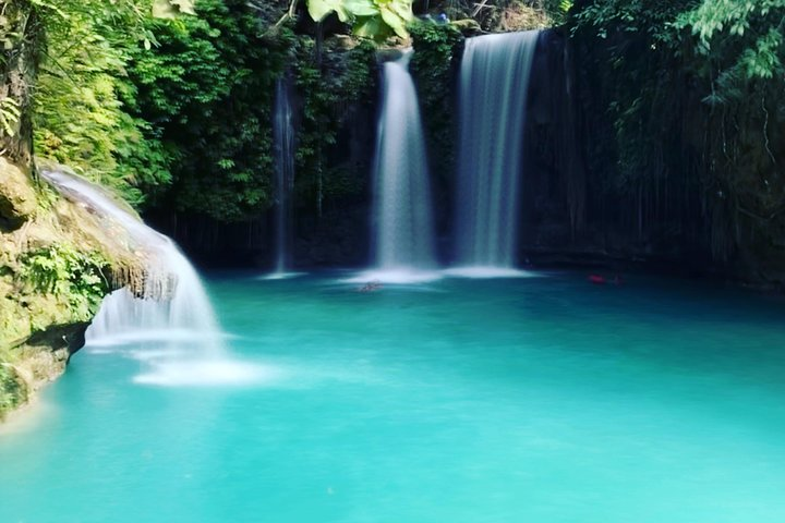 Cebu chasing waterfalls, whalesharks, sardines & turtles - Photo 1 of 17