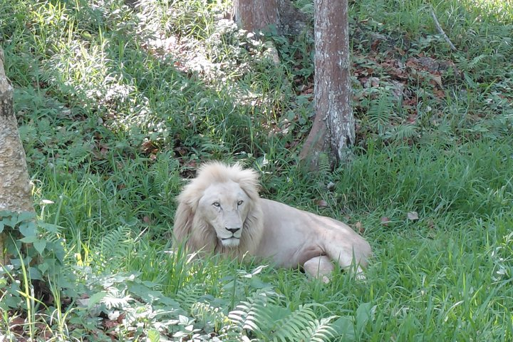 Cebu Safari and Adventure Park - Photo 1 of 25