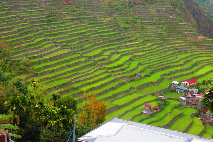 Embark on a 7-Day Banaue-Sagada Adventure of a Lifetime - Photo 1 of 6