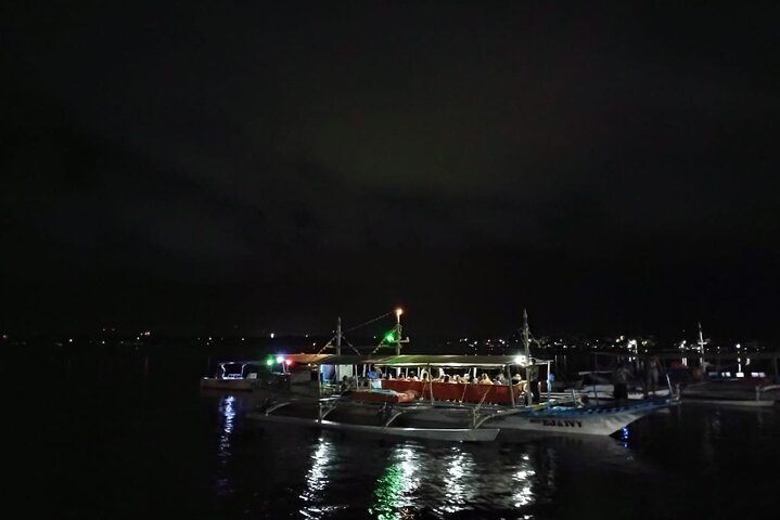 firefly watching tour - Photo 1 of 4