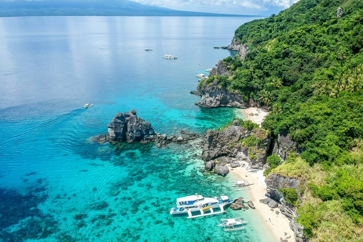 Apo Island Day Tour from Dumaguete with Lunch & Transfer - Photo 1 of 8