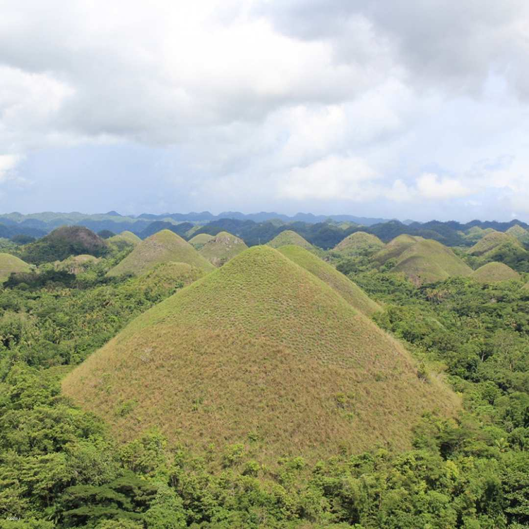 Bohol Essential Day Tour | Tarsiers, Chocolate Hills, Loboc River [Koreans Only] - Photo 1 of 3