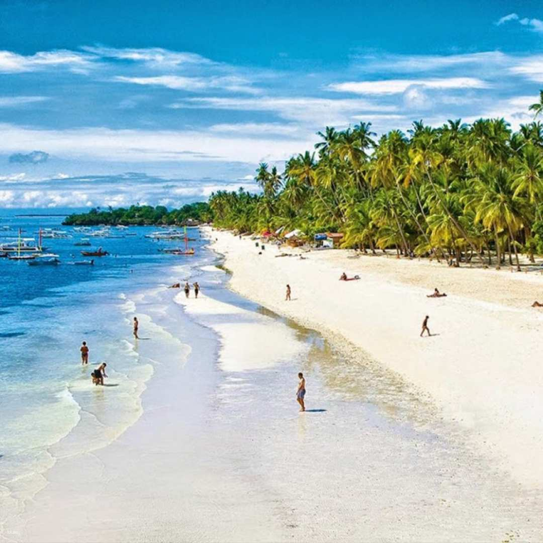 [For Koreans Only] Bohol Last Day Check-out Tour | Tarsier Monkey, Chocolate Hills - Photo 1 of 5