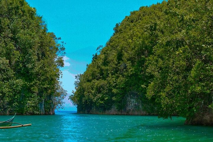 Hermit's Cove and Bojo River Eco Private Tour - Photo 1 of 3