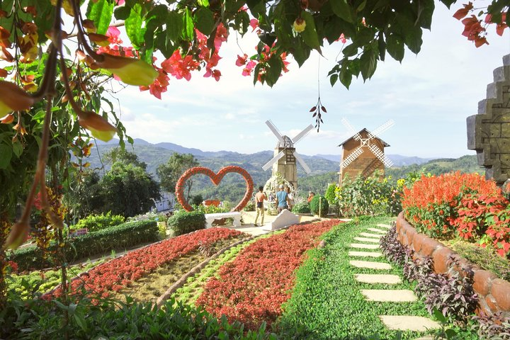 Sirao Flower Farm