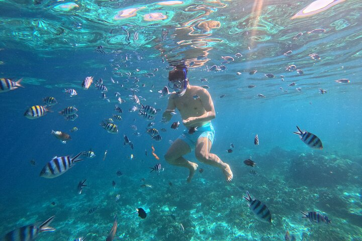 Dive in from the pier for an unforgettable snorkeling experience, where vibrant black-and-white striped tropical fish await just beneath the surface! (Taken by Gopro)