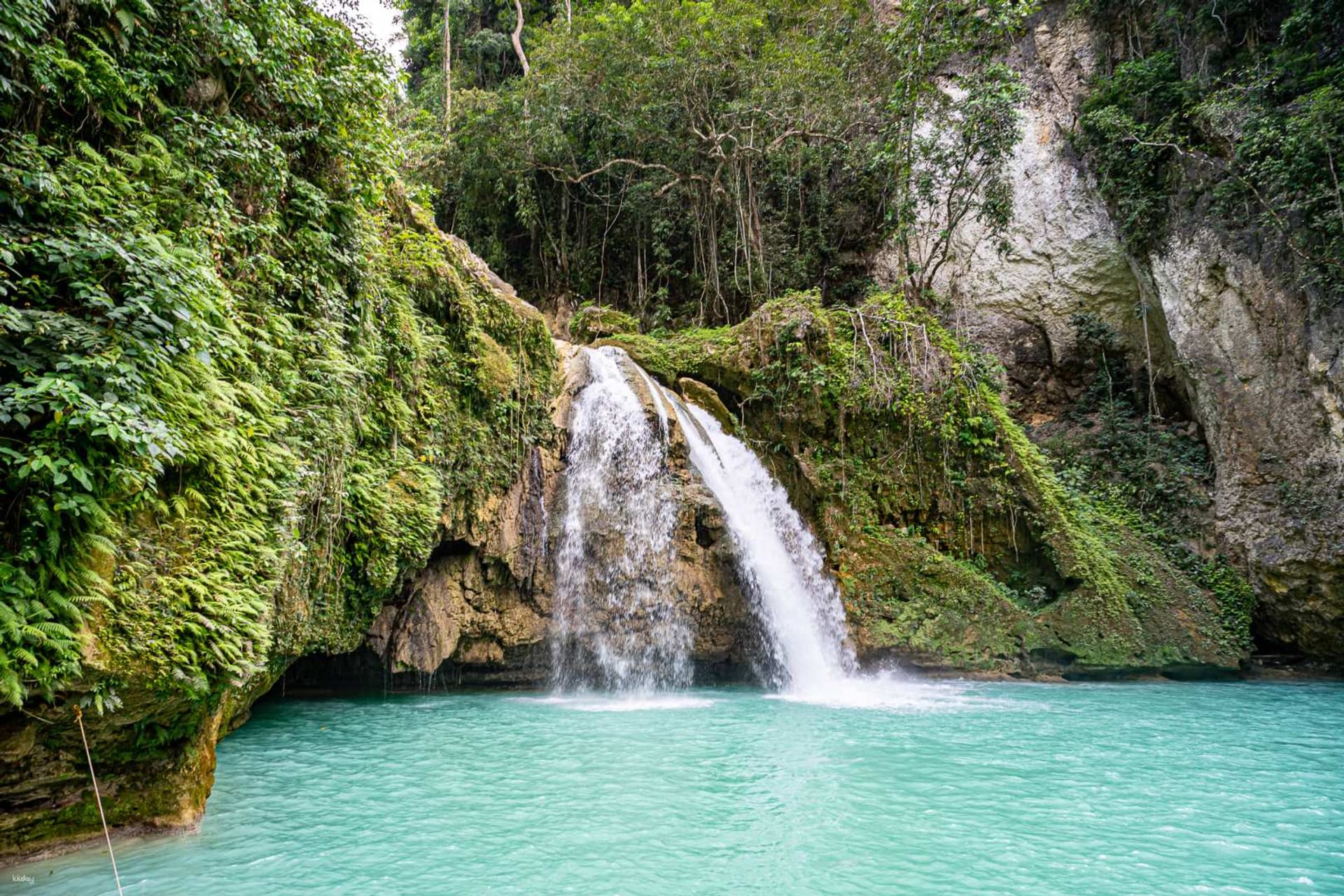 Kawasan Falls and tropical forest in Cebu Philippines