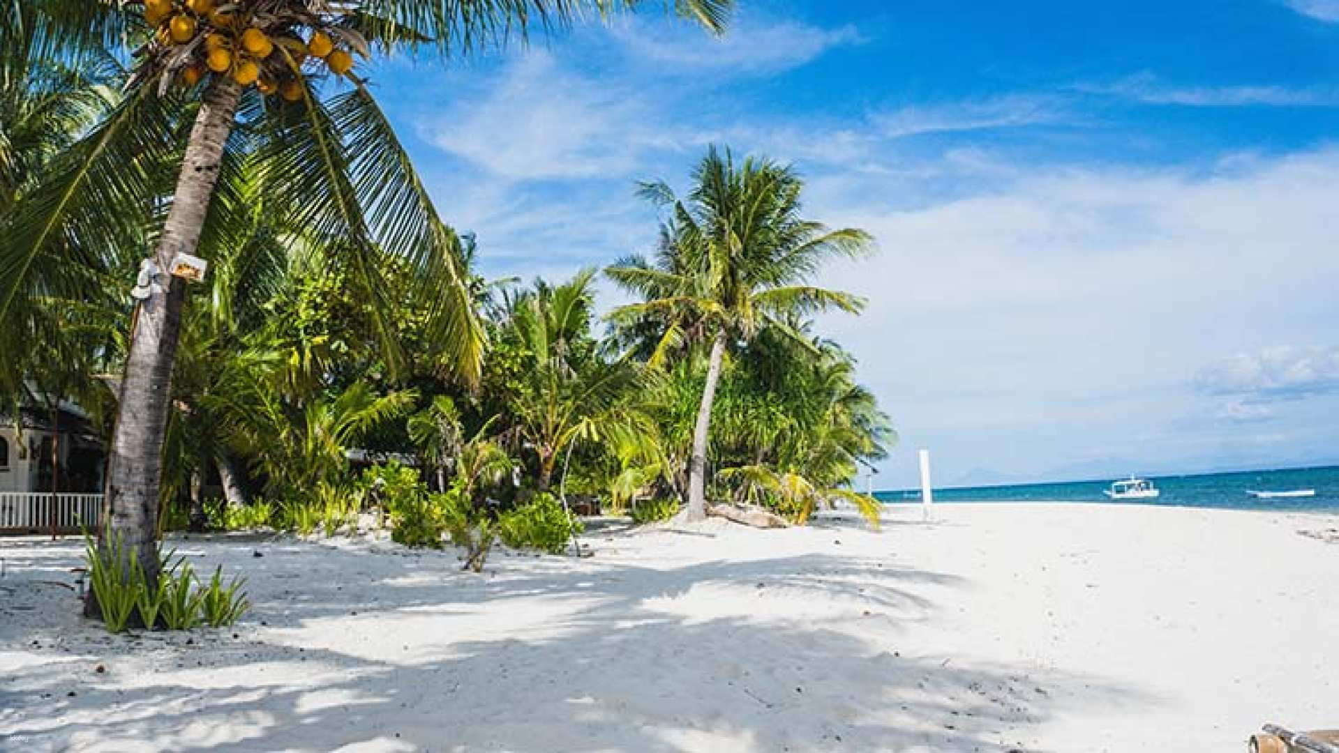 Malapascua Island-Hopping Day Tour from Cebu | Philippines - Photo 1 of 7