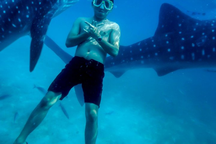 Cebu:Oslob Whaleshark + Tumalog & Sumilon Sandbar (Hotel Pickup) - Photo 1 of 23