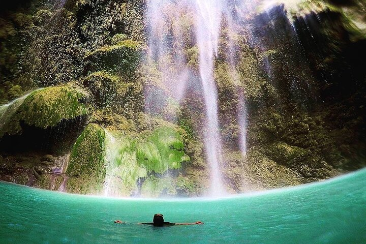 BEST OF CEBU:Oslob Whaleshark Encounter w Sandbar & Tumalog Falls - Photo 1 of 13