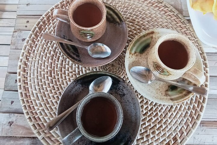 Bohol Chocolate Farm with Chocolate Hills &Tarsiers - Photo 1 of 8
