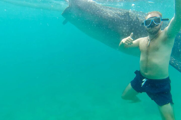 Private Whale Shark, Island hopping and Waterfall with Transport  - Photo 1 of 13