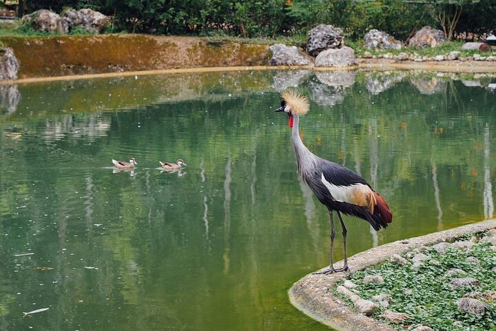 Safari Adventure Tour in Cebu - Photo 1 of 4