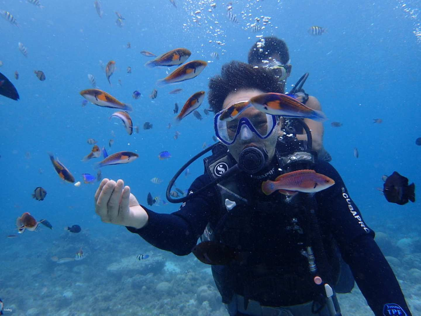 Cebu Experience Diving Package (Choose 3 Activities) - Photo 1 of 5